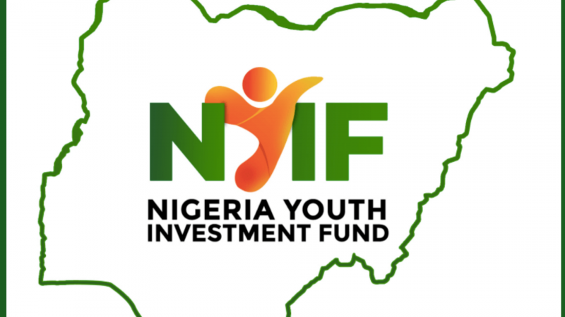 NYIF Loan Disbursements: Over 25,000 Youth to Benefit from New Round