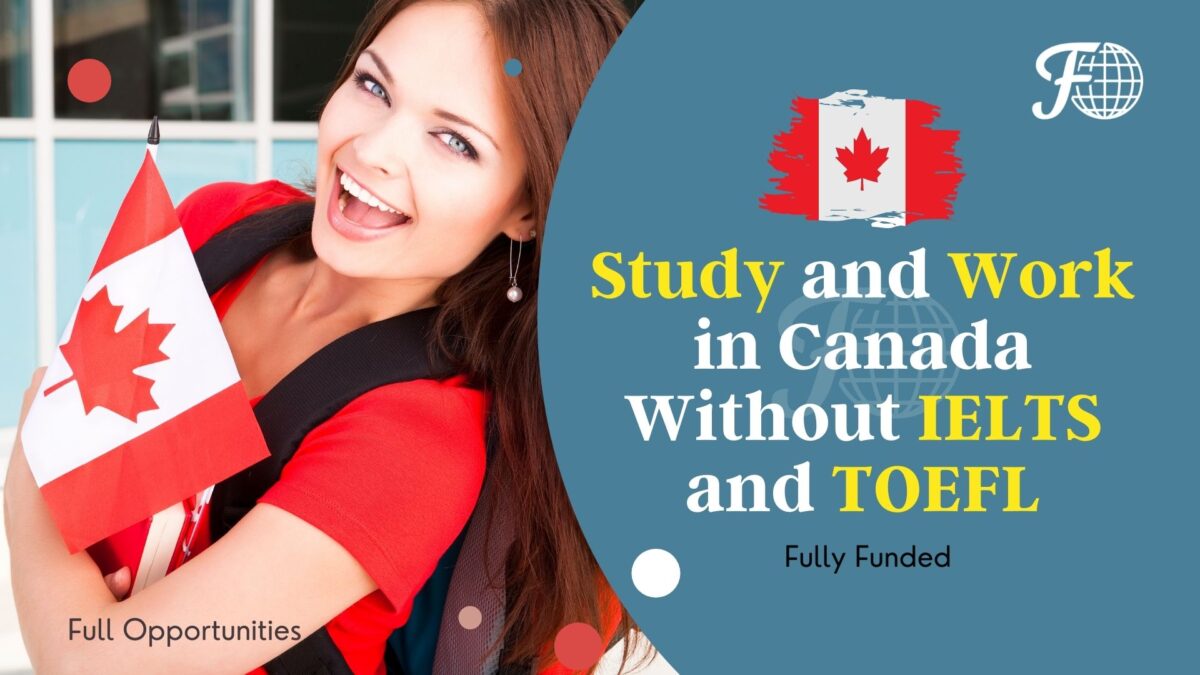 Study and Work Opportunities in Canada/US for International Students