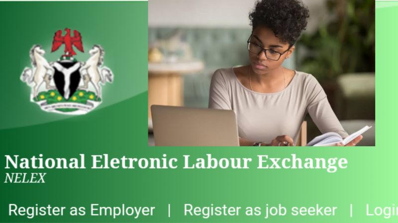 www.nelexnigeria.com | NELEX FG Employment Portal for Unemployed Nigerians