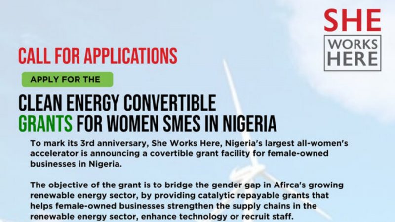 Nigeria Women Smes: Link To Apply for She Works Here Clean Energy Convertible Grant