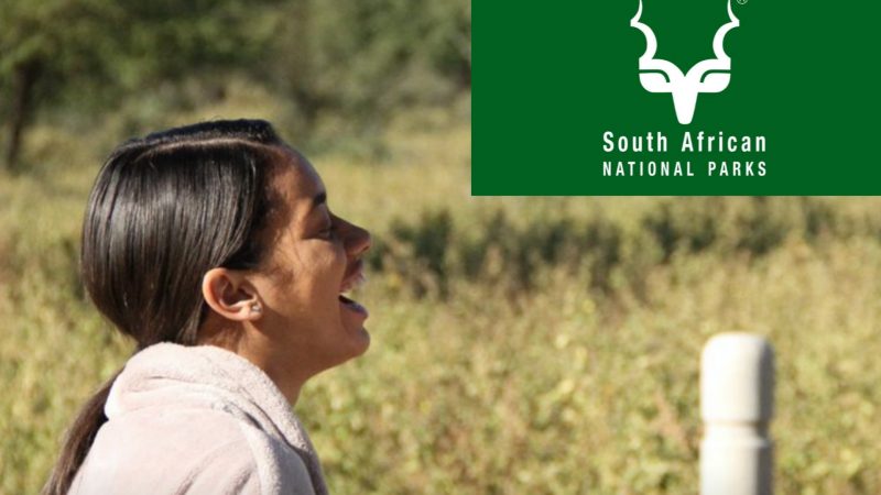 Link To Apply for South African National Parks (SANParks) Air Services Internship Programmes