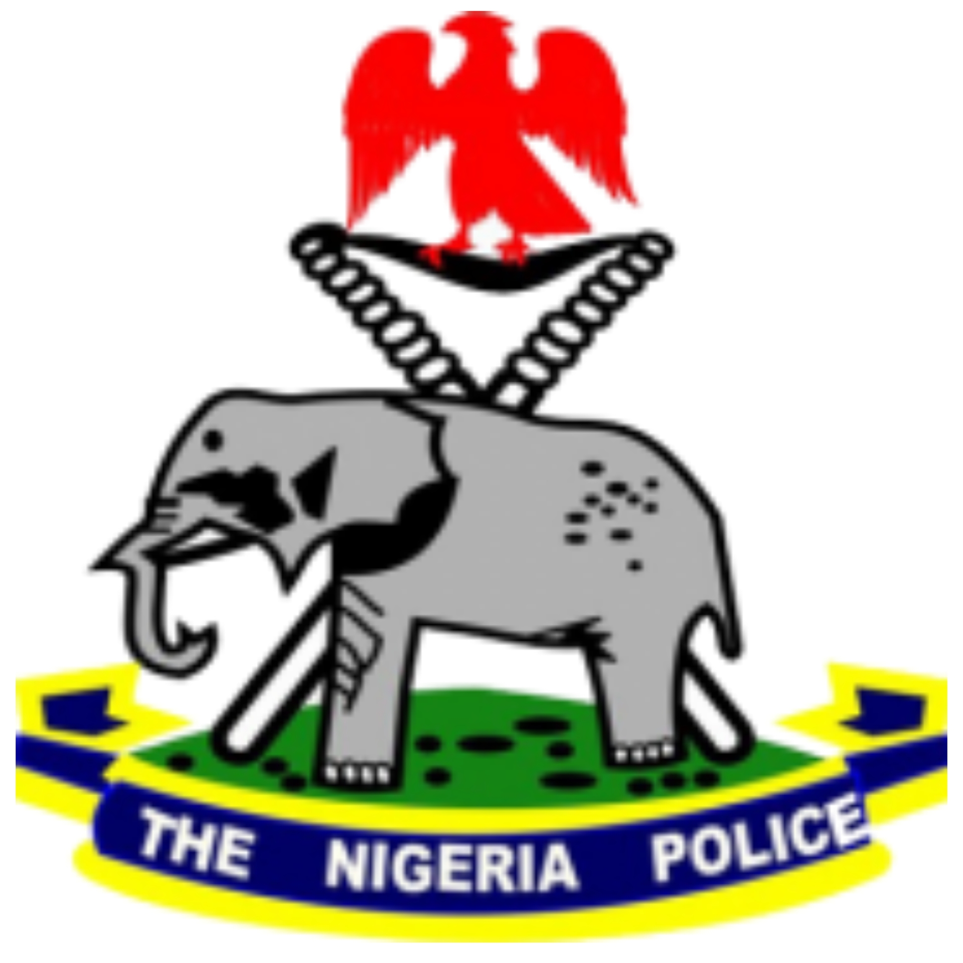 Applying to the Nigerian Police Force: Qualifications, Eligibility Requirements and Process