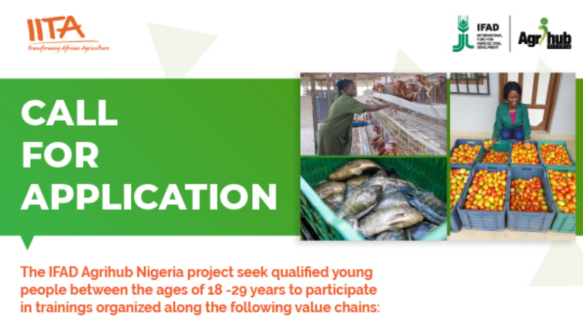 Link To Apply for IFAD Agrihub Programme 2022 For Young Nigerians