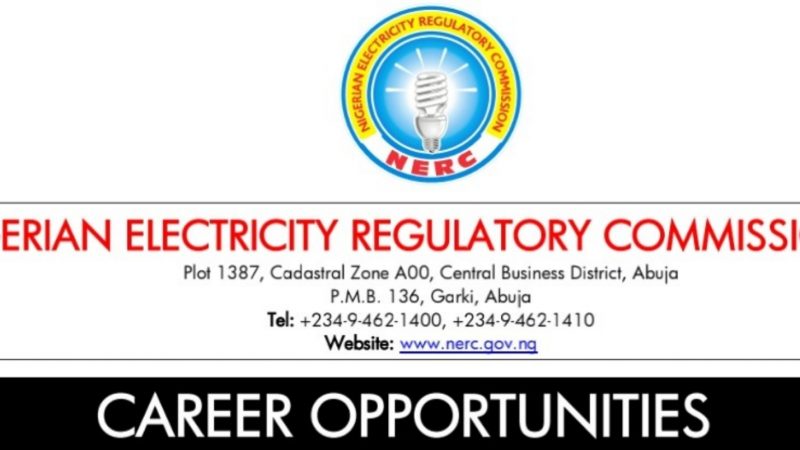 NERC job 2022: See Full List Of Successful Applicants| PDF Download