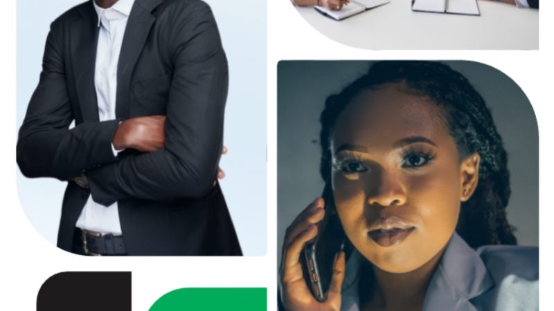 www.worknation.ng – Work Nation Application Portal (All You Need To Know About The Talent, Skills Acquisition Platform)