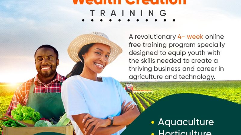 Apply: 2023 Agribusiness Training Program Organized by IITA in Collaboration with Ecobank