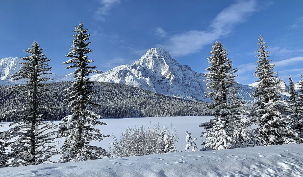 From Snow to Success: The Hidden Reality of Canada Life